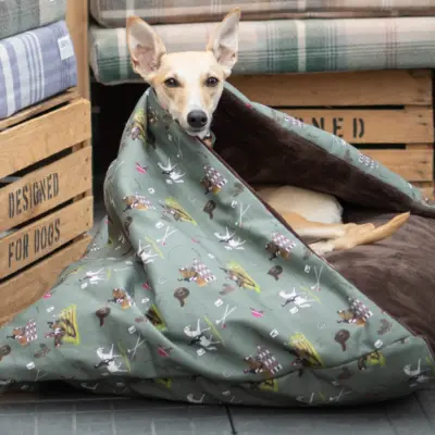 Whippet Dog laid inside a Green Event Horse patterned dog bed.