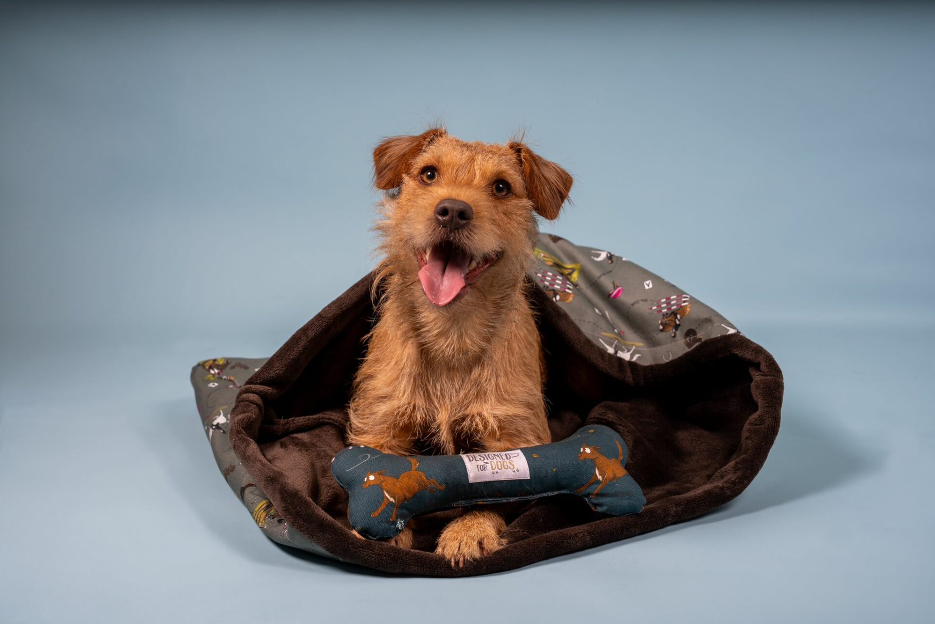 Dog snuggle sack with red patterdale terrier dog and blue bone toy