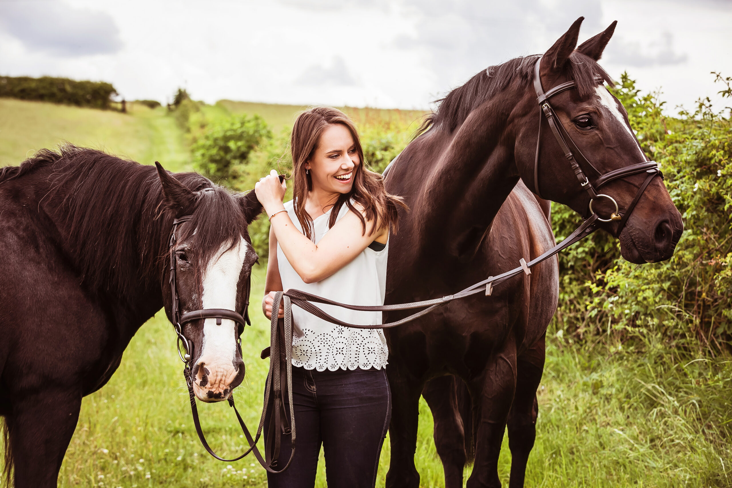 Black Cob, mare with white blaze and Bay , sports horse gelding with star and stripe. Gifts for horse riders