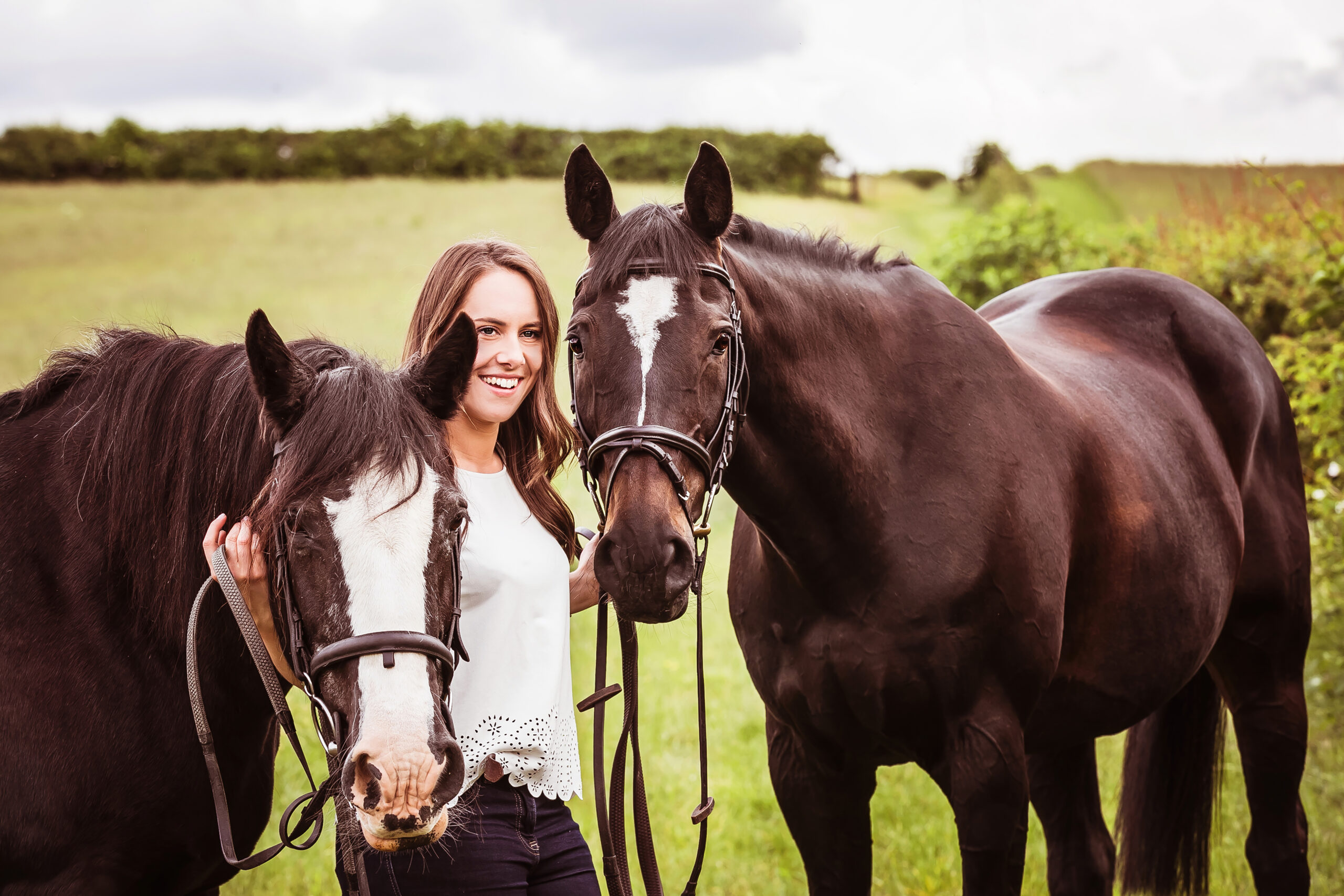 Black Cob and a Bay Gelding stood in a field with their groom.
