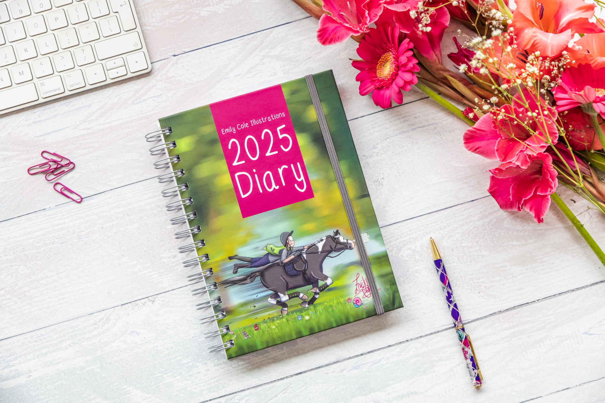 2025 A5 Ringbound Horse Diary Front cover by Emily Cole.