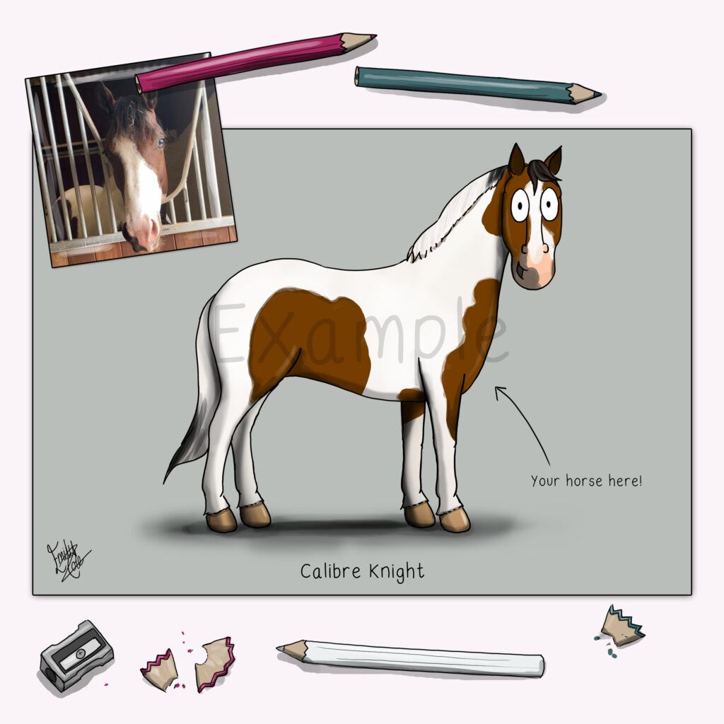 Personalised horse drawing - bespoke colour print by Emily cole illustrations example stood horse